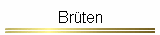 Brüten